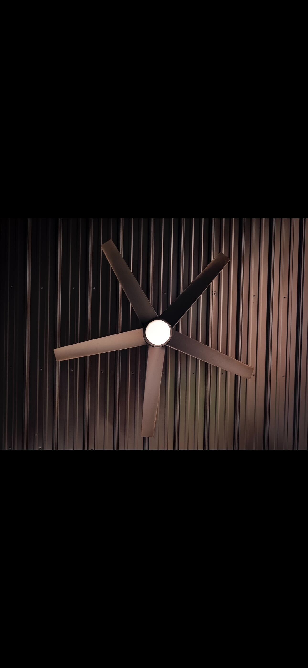 Ceiling Painting Work